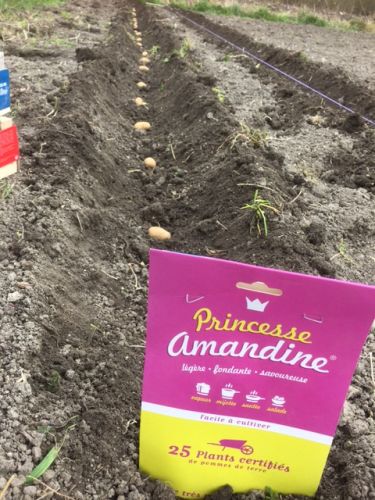 La Sauvagine Terre et Passion®