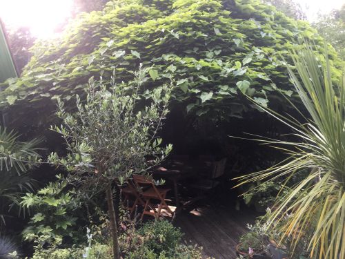 La Sauvagine Terre et Passion®