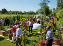 La Sauvagine Terre et Passion®