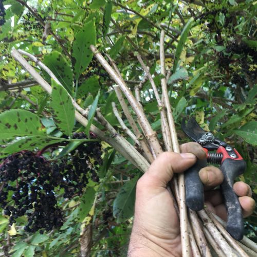 La Sauvagine Terre et Passion®