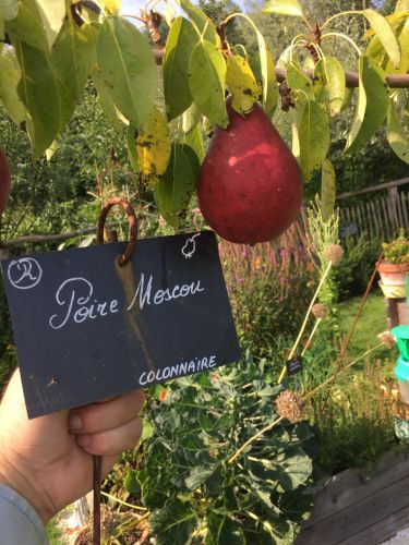 La Sauvagine Terre et Passion®