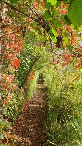 La Sauvagine Terre et Passion®