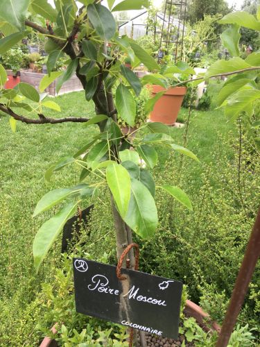 La Sauvagine Terre et Passion®