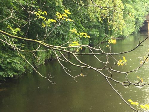 La Sauvagine Terre et Passion®