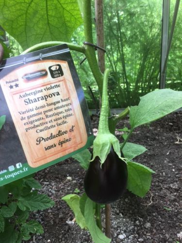 La Sauvagine Terre et Passion®