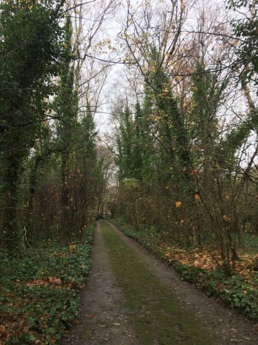 La Sauvagine Terre et Passion®