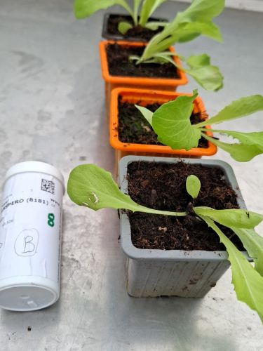 La Sauvagine Terre et Passion®