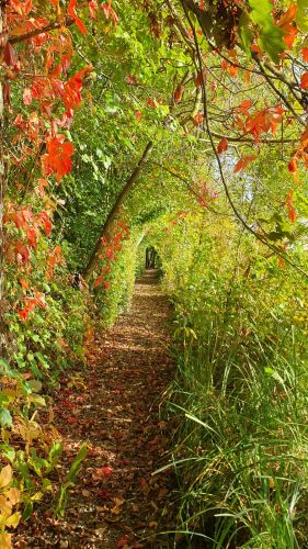La Sauvagine Terre et Passion®