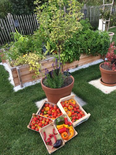 La Sauvagine Terre et Passion®