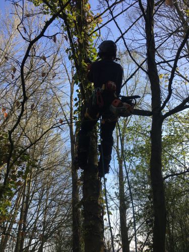 La Sauvagine Terre et Passion®