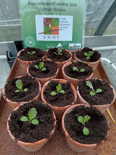 La Sauvagine Terre et Passion®