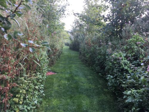 La Sauvagine Terre et Passion®