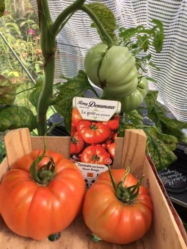 La Sauvagine Terre et Passion®