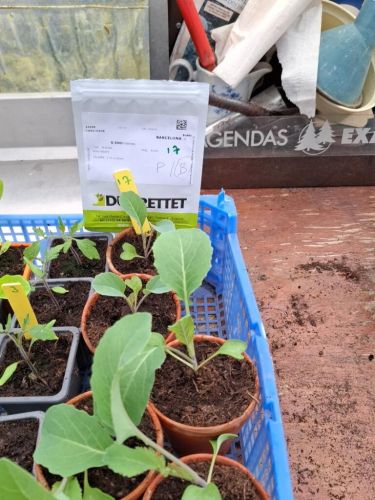 La Sauvagine Terre et Passion®