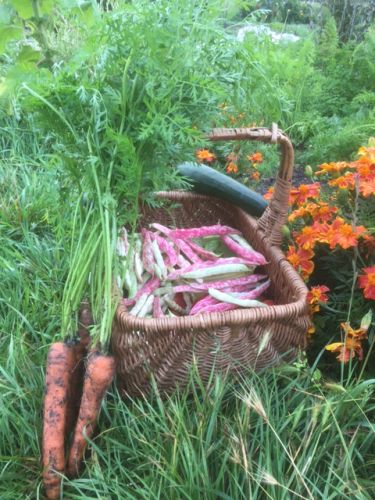 La Sauvagine Terre et Passion®