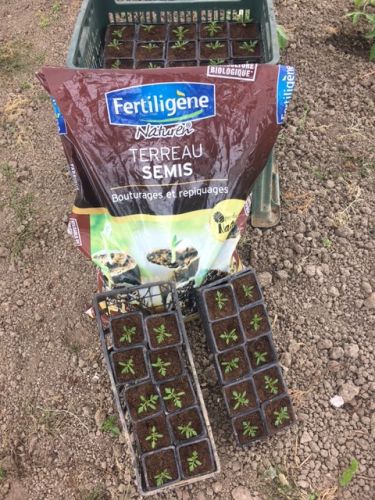 La Sauvagine Terre et Passion®