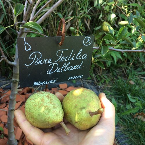 La Sauvagine Terre et Passion®