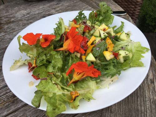 La Sauvagine Terre et Passion®