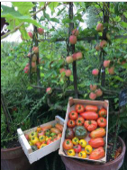 La Sauvagine Terre et Passion®