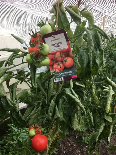 La Sauvagine Terre et Passion®