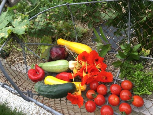 La Sauvagine Terre et Passion®