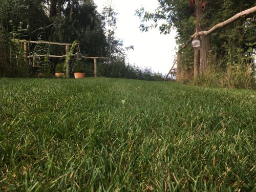 La Sauvagine Terre et Passion®