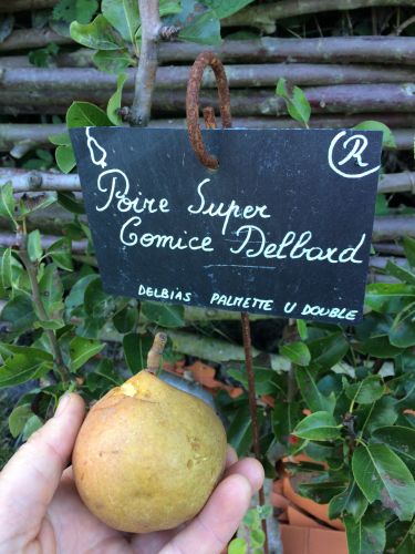 La Sauvagine Terre et Passion®