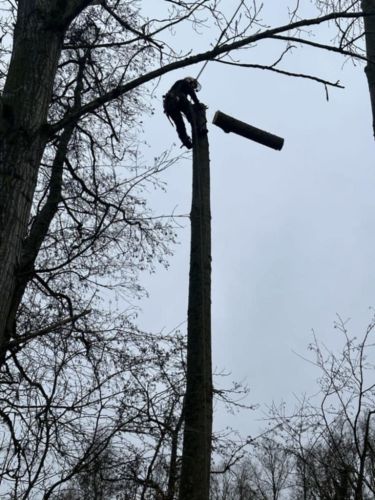 La Sauvagine Terre et Passion®