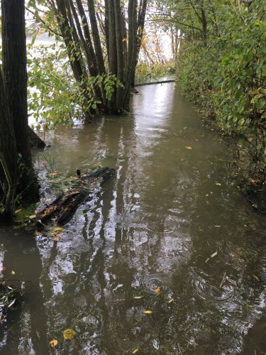 La Sauvagine Terre et Passion®