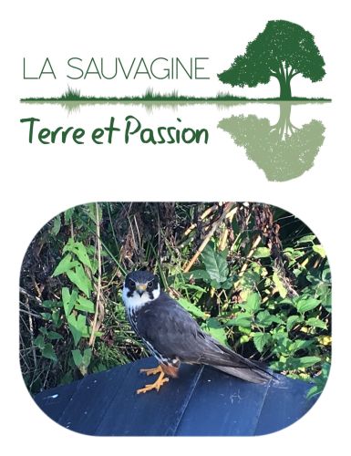 La Sauvagine Terre et Passion®