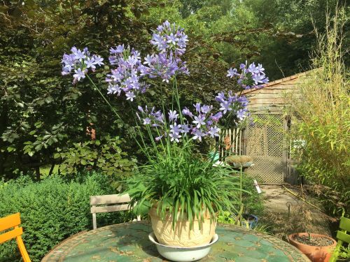 La Sauvagine Terre et Passion®