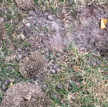 La Sauvagine Terre et Passion®