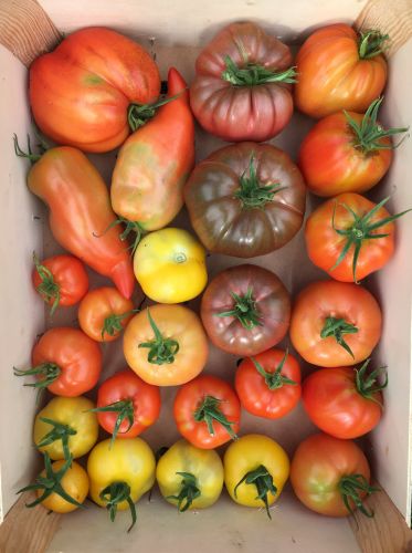 La Sauvagine Terre et Passion®