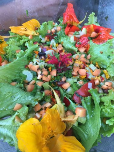 La Sauvagine Terre et Passion®