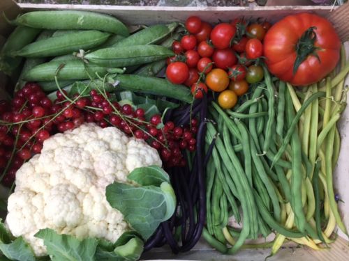 La Sauvagine Terre et Passion®