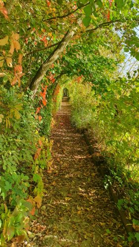 La Sauvagine Terre et Passion®