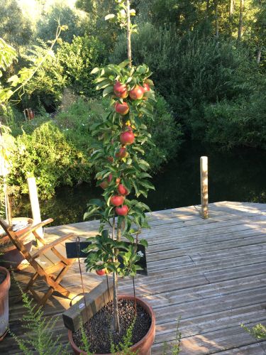 La Sauvagine Terre et Passion®