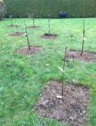 La Sauvagine Terre et Passion®