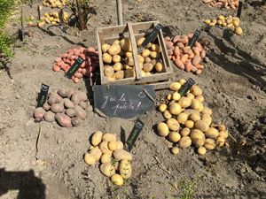 La Sauvagine Terre et Passion®