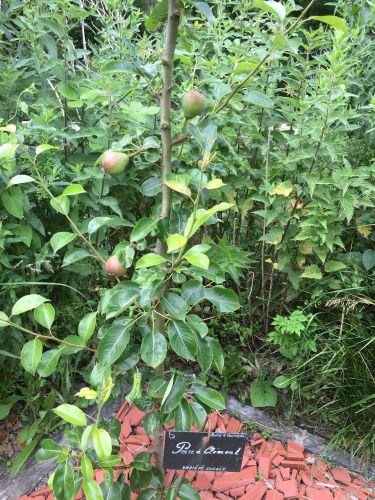 La Sauvagine Terre et Passion®