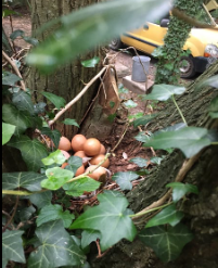 La Sauvagine Terre et Passion®