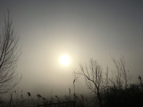 La Sauvagine Terre et Passion®