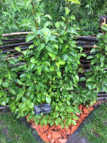 La Sauvagine Terre et Passion®