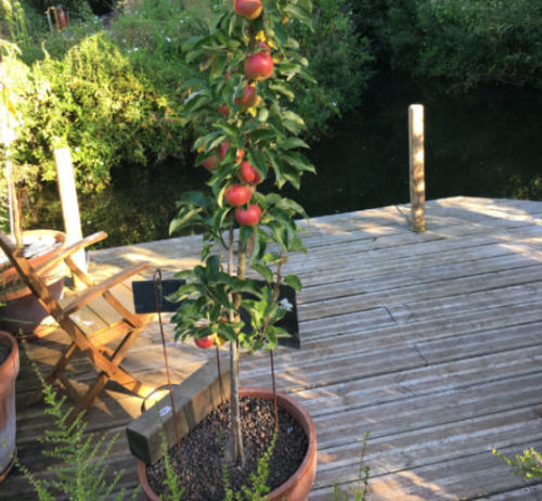 La Sauvagine Terre et Passion®