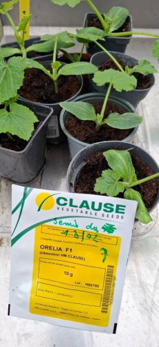 La Sauvagine Terre et Passion®