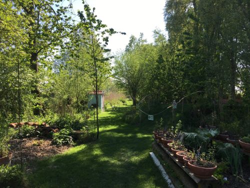 La Sauvagine Terre et Passion®