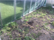 La Sauvagine Terre et Passion®