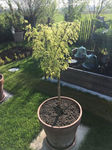 La Sauvagine Terre et Passion®