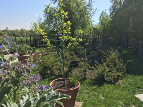 La Sauvagine Terre et Passion®