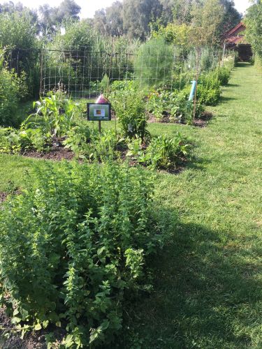 La Sauvagine Terre et Passion®